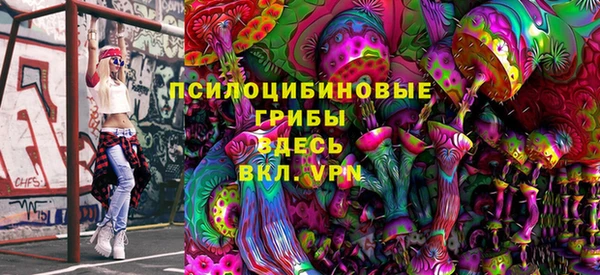 ГАЛЛЮЦИНОГЕННЫЕ ГРИБЫ Баксан