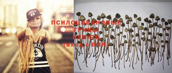 ГАЛЛЮЦИНОГЕННЫЕ ГРИБЫ Баксан