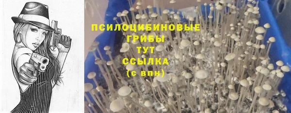 ALPHA PVP Балахна