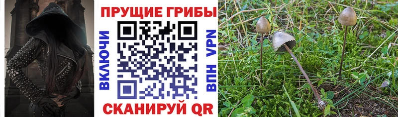 Псилоцибиновые грибы Magic Shrooms Барабинск
