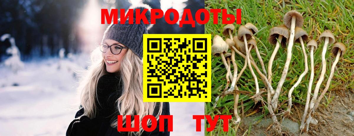 Псилоцибиновые грибы Psilocybine cubensis  Галлюциногенные грибы Cubensis  Вход с VPN  Барабинск 